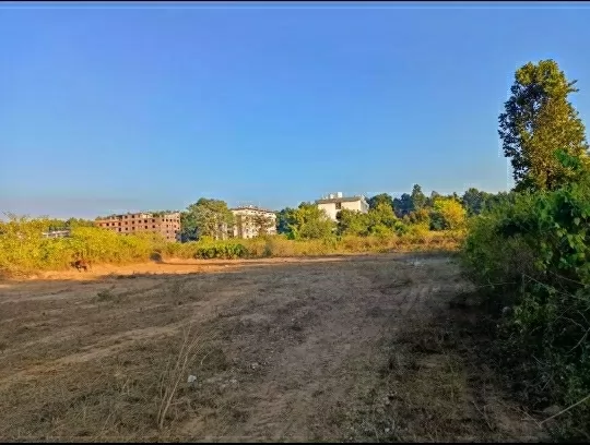 Semi commercial plot
