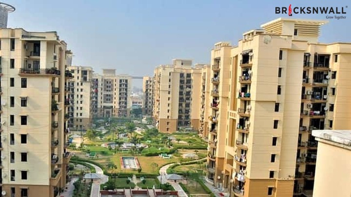 Best society in Noida Extension