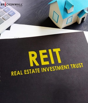 Real Estate Investment Trust (REIT): How it Works?