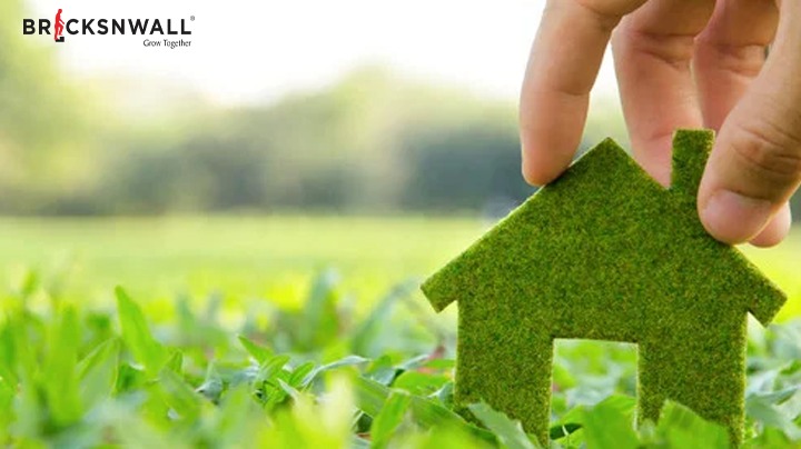 Innovative Home Tips For A Greener Home