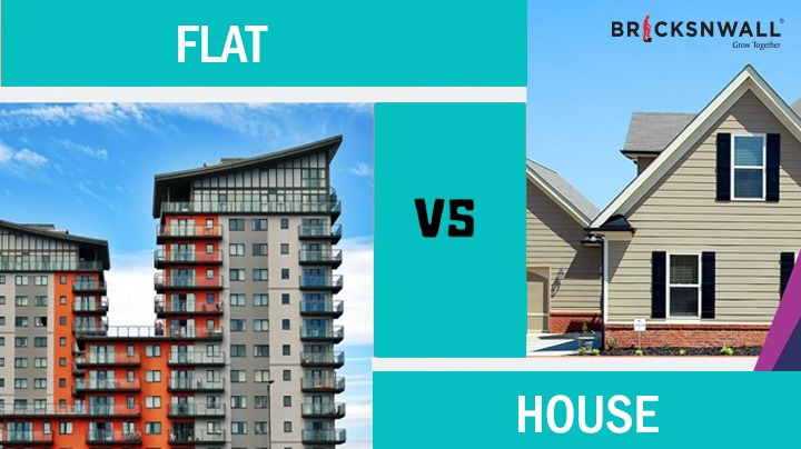 Which is a better option: a house or flat?