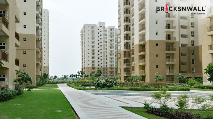 2/3 BHK Flats in Noida extension