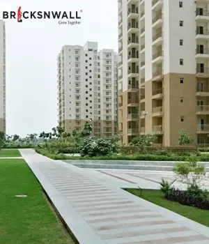 2/3 BHK Flats in Noida extension