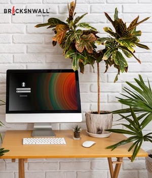 Plants for Your Office as Per Vastu Shastra