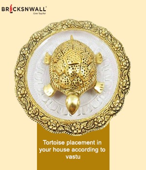 Tortoise placement in your house, according to Vastu