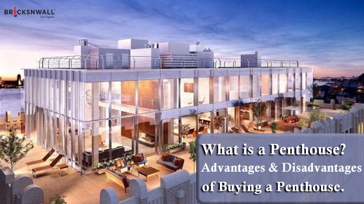 What is a Penthouse? Advantages & Disadvantages of Buying a Penthouse