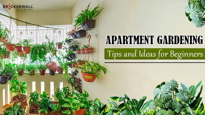 Apartment Gardening Made Easy: Tips and Ideas for Beginners