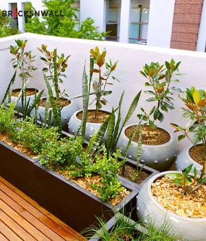 Apartment Gardening Made Easy: Tips and Ideas for Beginners