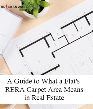 A Guide to What a Flat's RERA Carpet Area Means in Real Estate