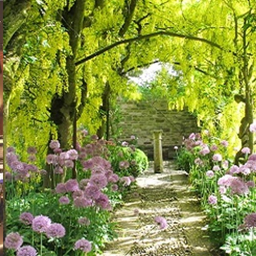 Apex Splendour Garden View