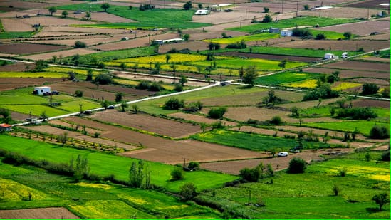 How farmlands become a real estate goldmine—no trading, no flipping, just waiting and being patient