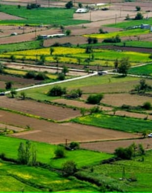 How farmlands become a real estate goldmine—no trading, no flipping, just waiting and being patient