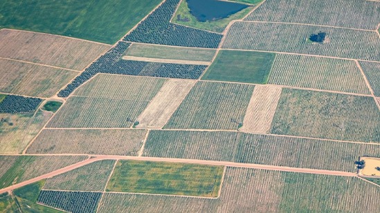 Land deals for house developments on rising; 7,714 acre exchanged during Jan'21-Mar'26: Report 