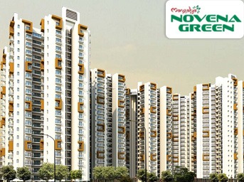 Novena Green Banner