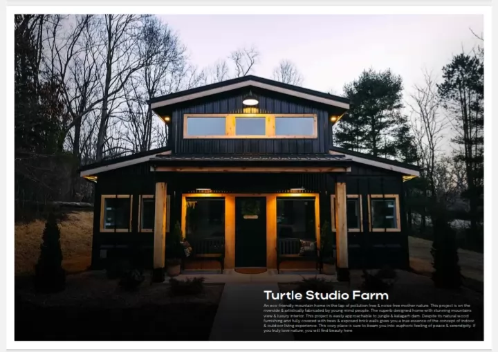 Turtle studio farm