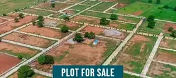 Plot