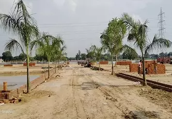 PALM VALLY